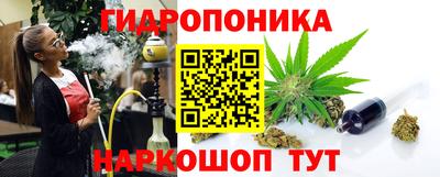 МДПВ Новозыбков