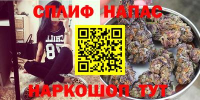 jwh Новодвинск