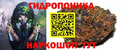 jwh Новодвинск