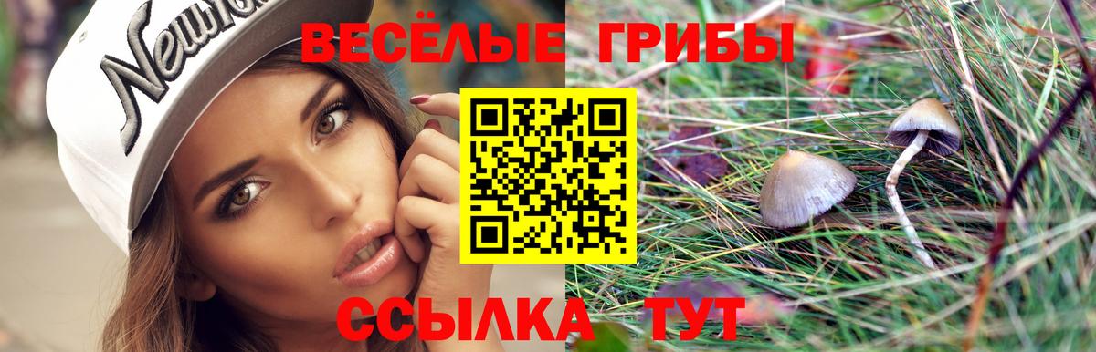 Псилоцибиновые грибы мицелий  Вход с VPN  где можно купить   Сосновый Бор 